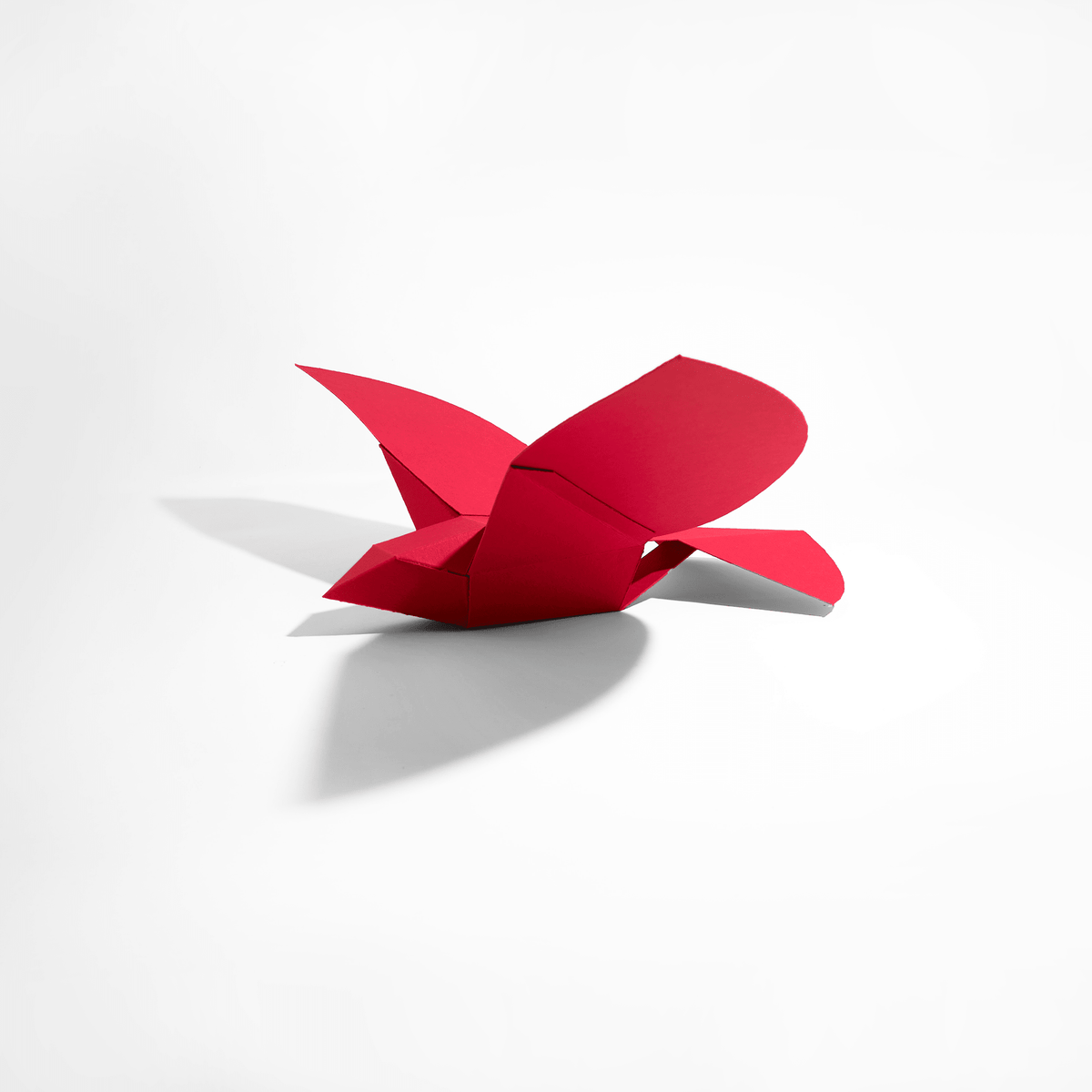 Bird Model - Wintercroft - Model