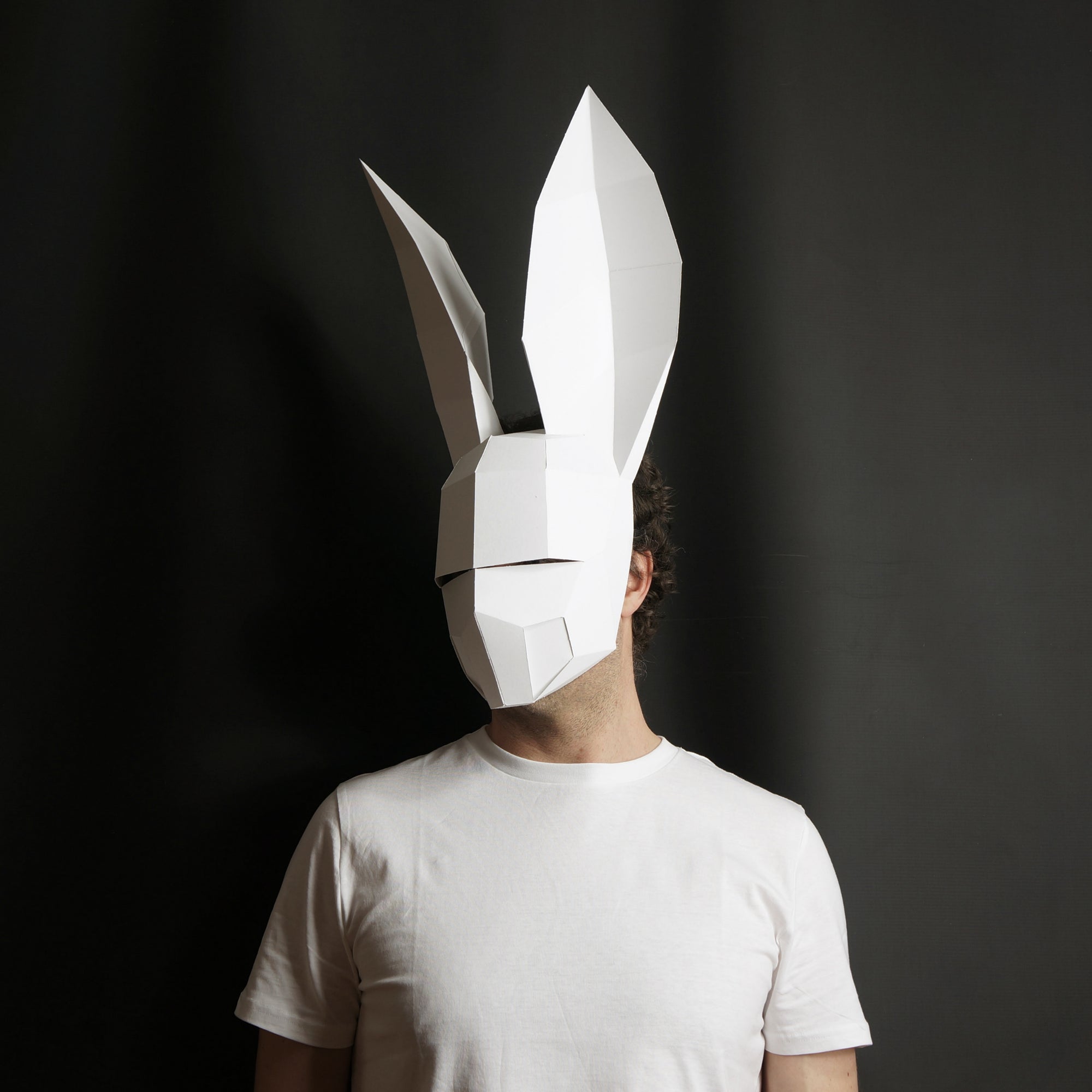 White Rabbit – The Line Lurker