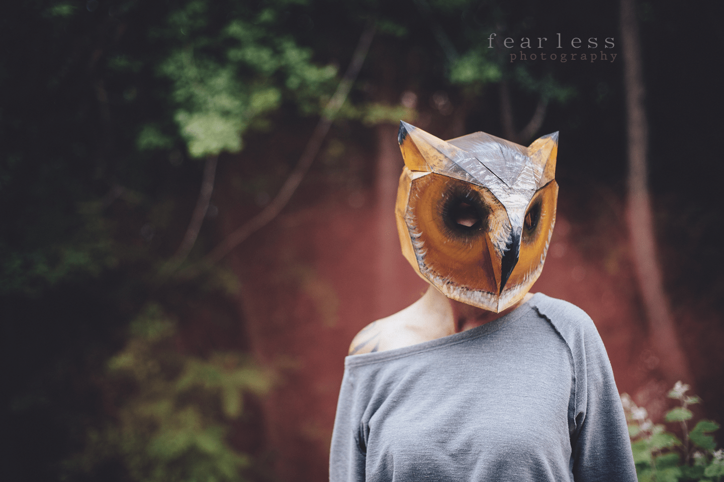Birds - Wintercroft
