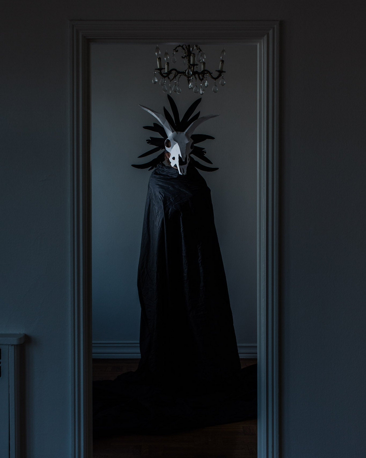 Person wearing a dark robe and animal skull headpiece standing in a doorway.
