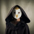 Barn Owl | Easy Kids Bird Mask Template | PDF Download - Wintercroft - Mask