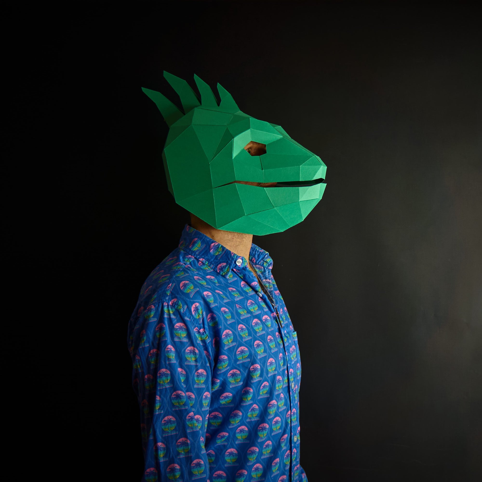 Iguana Mask