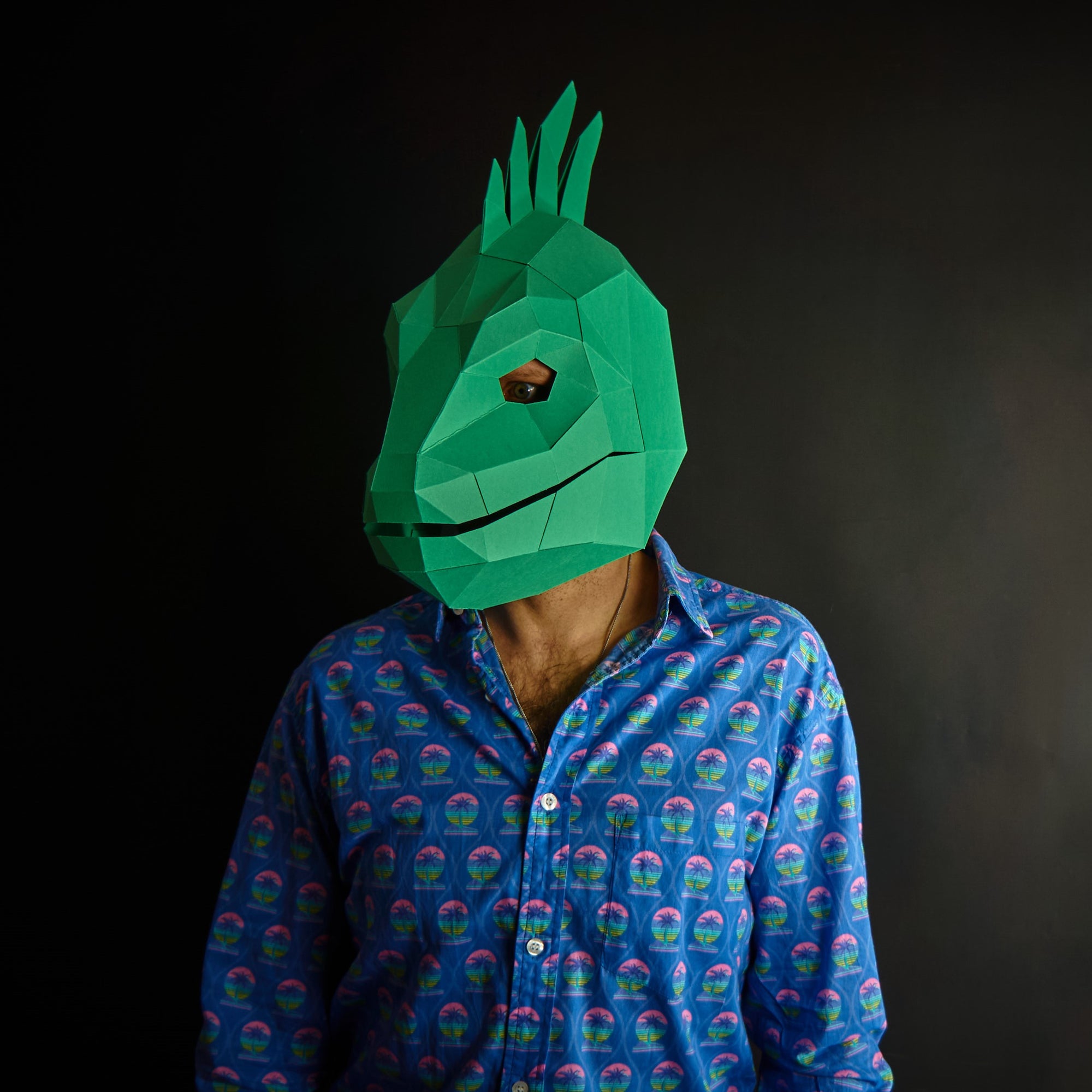 Iguana Mask