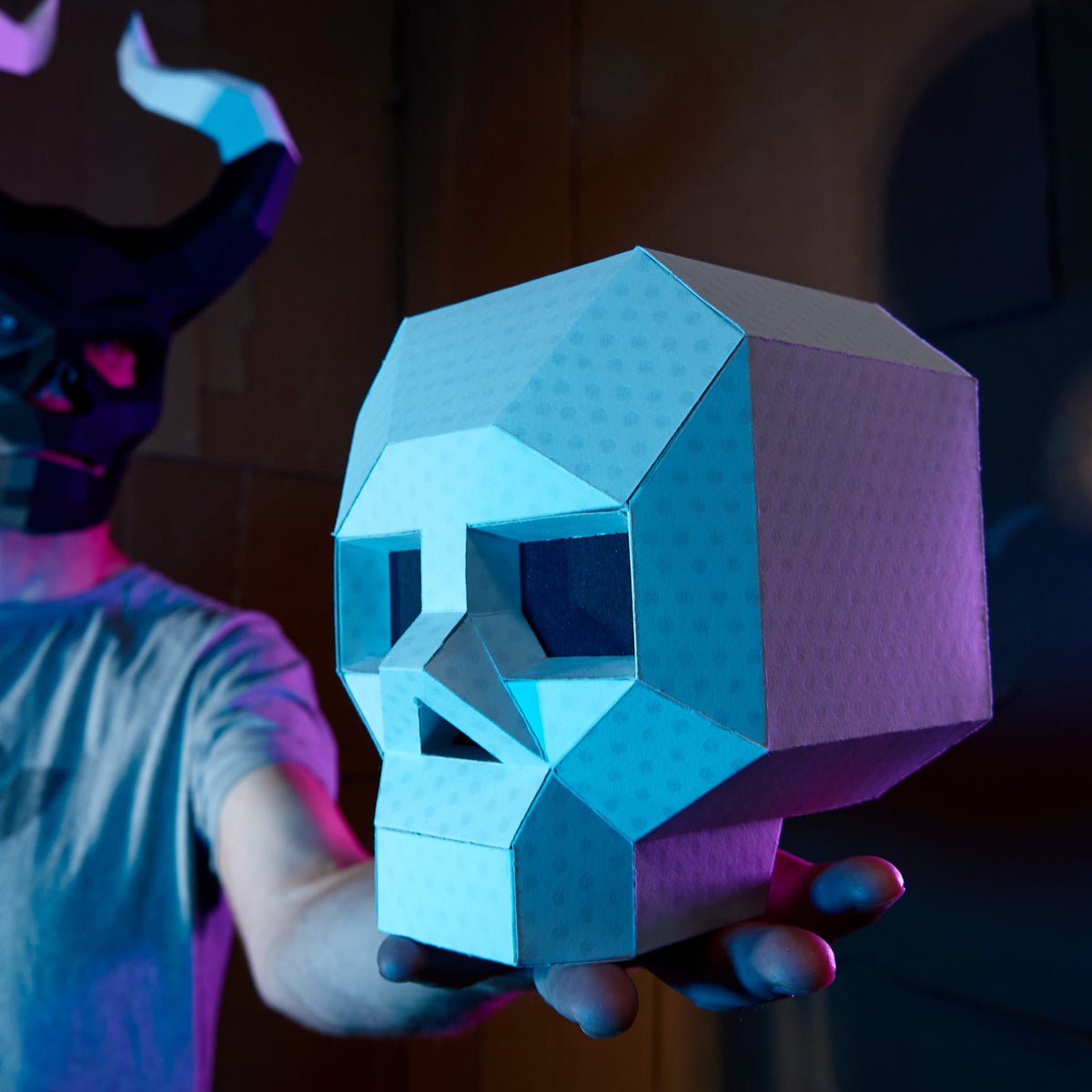 Skull Model - Wintercroft - Model