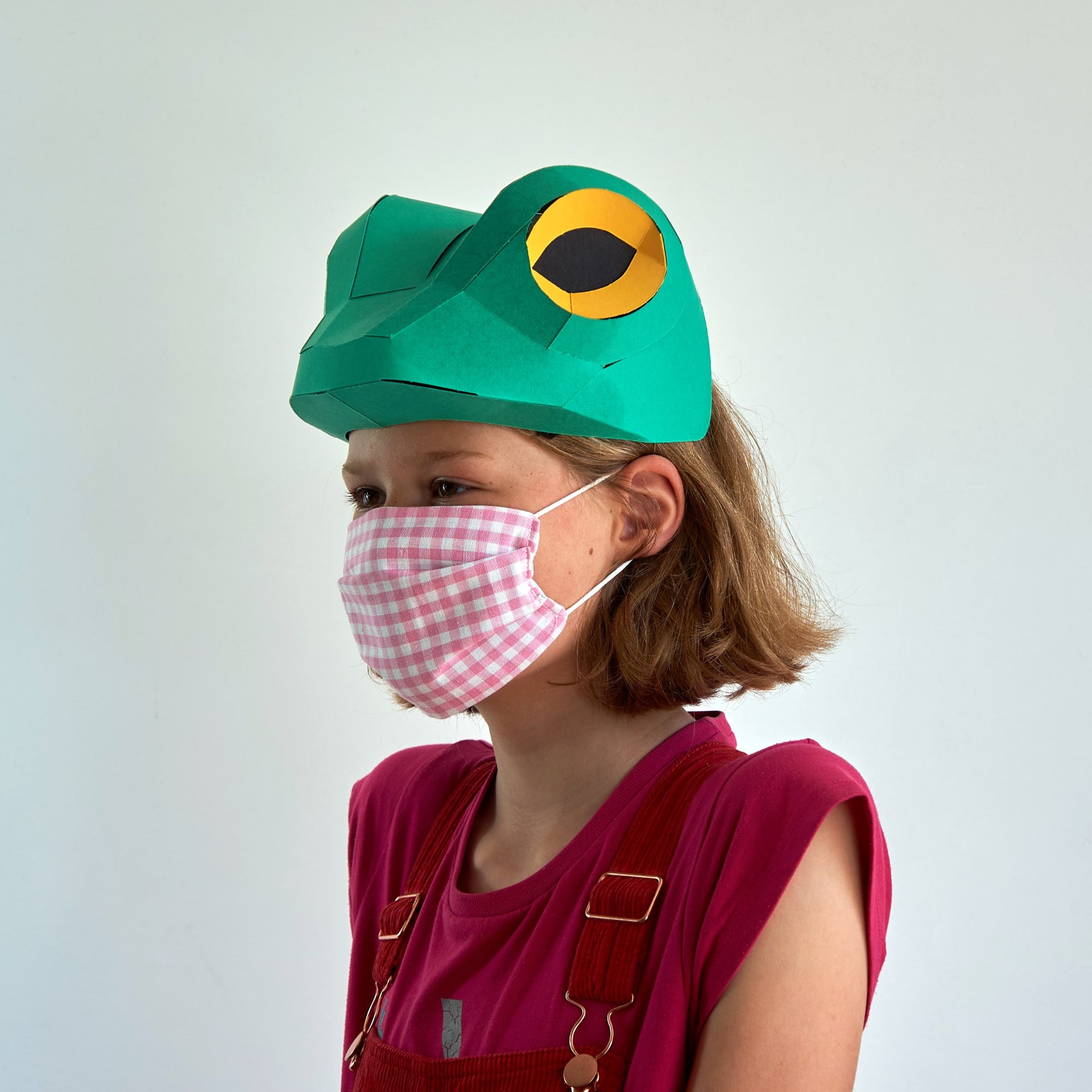 Children's Frog Mask