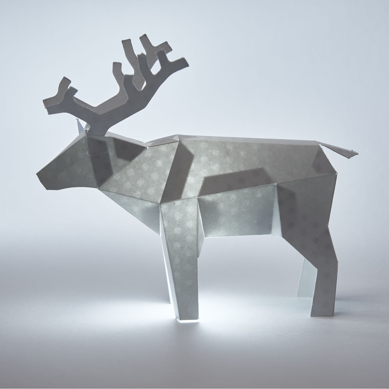 Reindeer Model