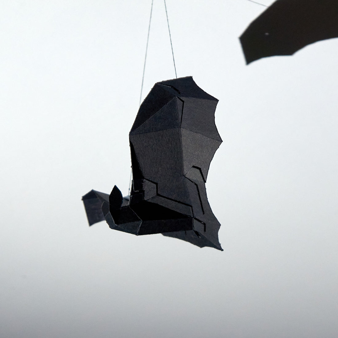 Bat Model - Wintercroft - Resources