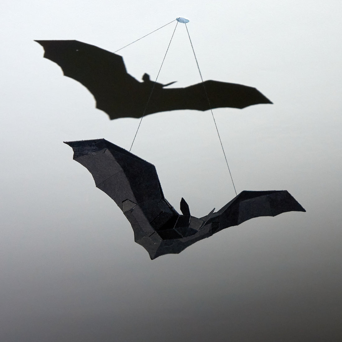 Bat Model - Wintercroft - Resources