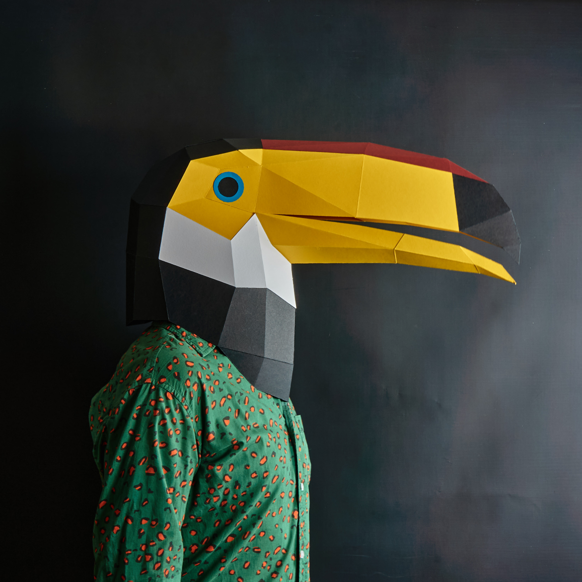 Toucan Mask