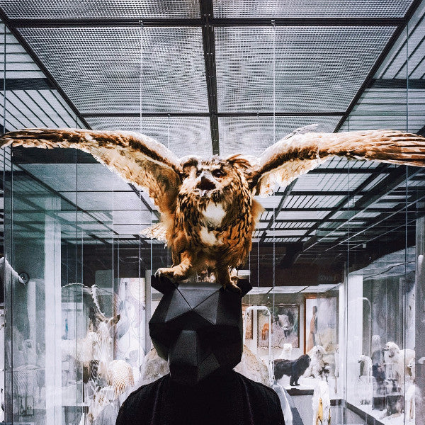 Bear Full Mask - Wintercroft
 - 5