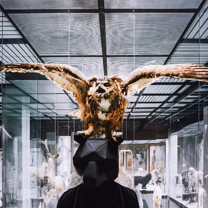 Bear Full Mask - Wintercroft
 - 5