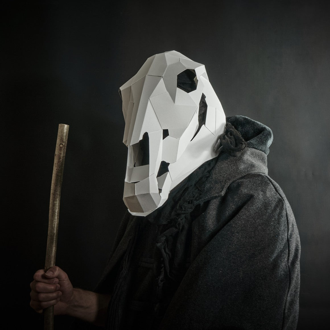 Horse Skull for Halloween and Mari Lwyd - Wintercroft - Mask