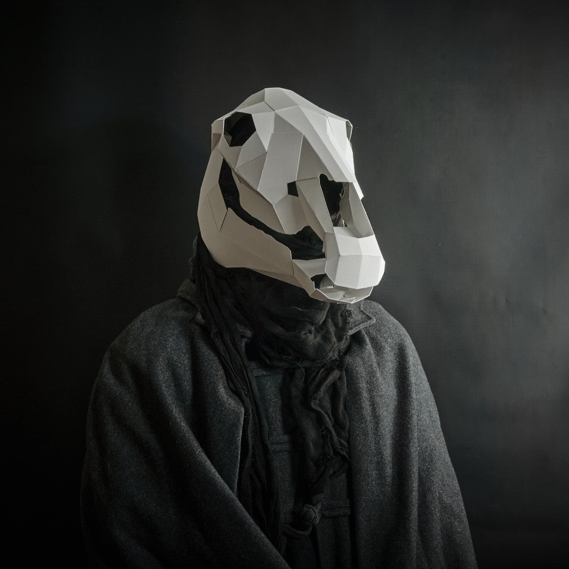 Horse Skull for Halloween and Mari Lwyd - Wintercroft - Mask