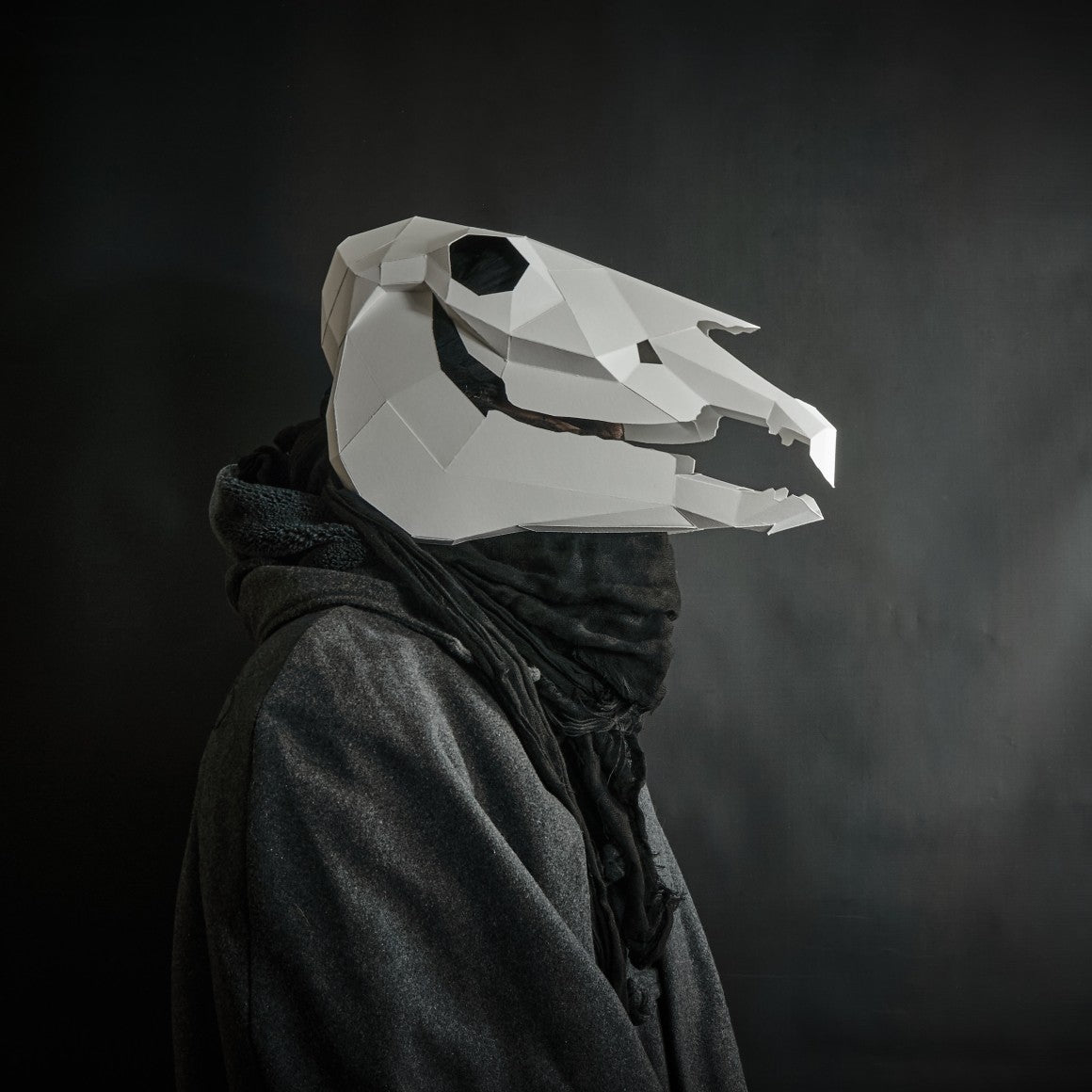 Adult Plastic Mask Hooded White Skeleton