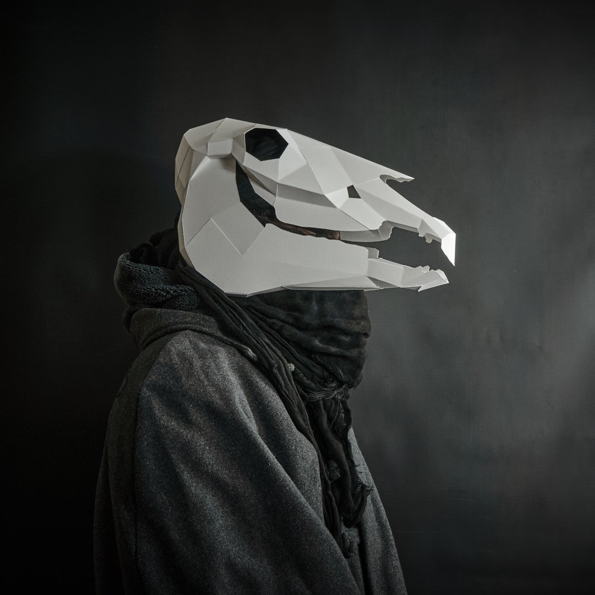 Horse Skull for Halloween and Mari Lwyd - Wintercroft - Mask