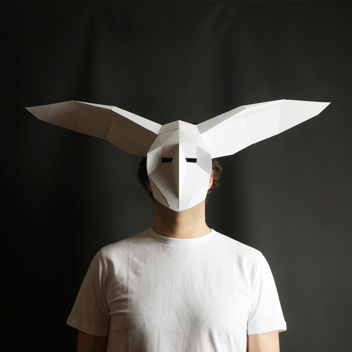 Owl Mask | Abstract Geometric Paper Mask | Instant Download - Wintercroft-Mask