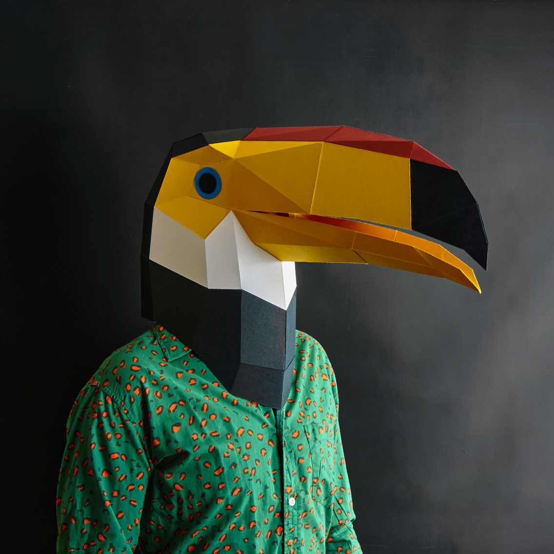 Toucan Mask