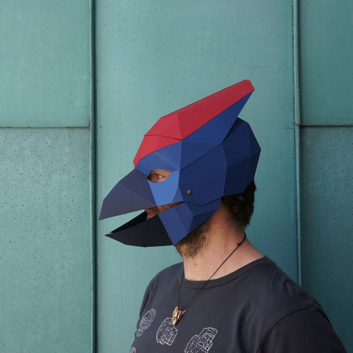 Finch Mask | Low Poly Geometric DIY Bird Template | PDF Download - Wintercroft-Mask