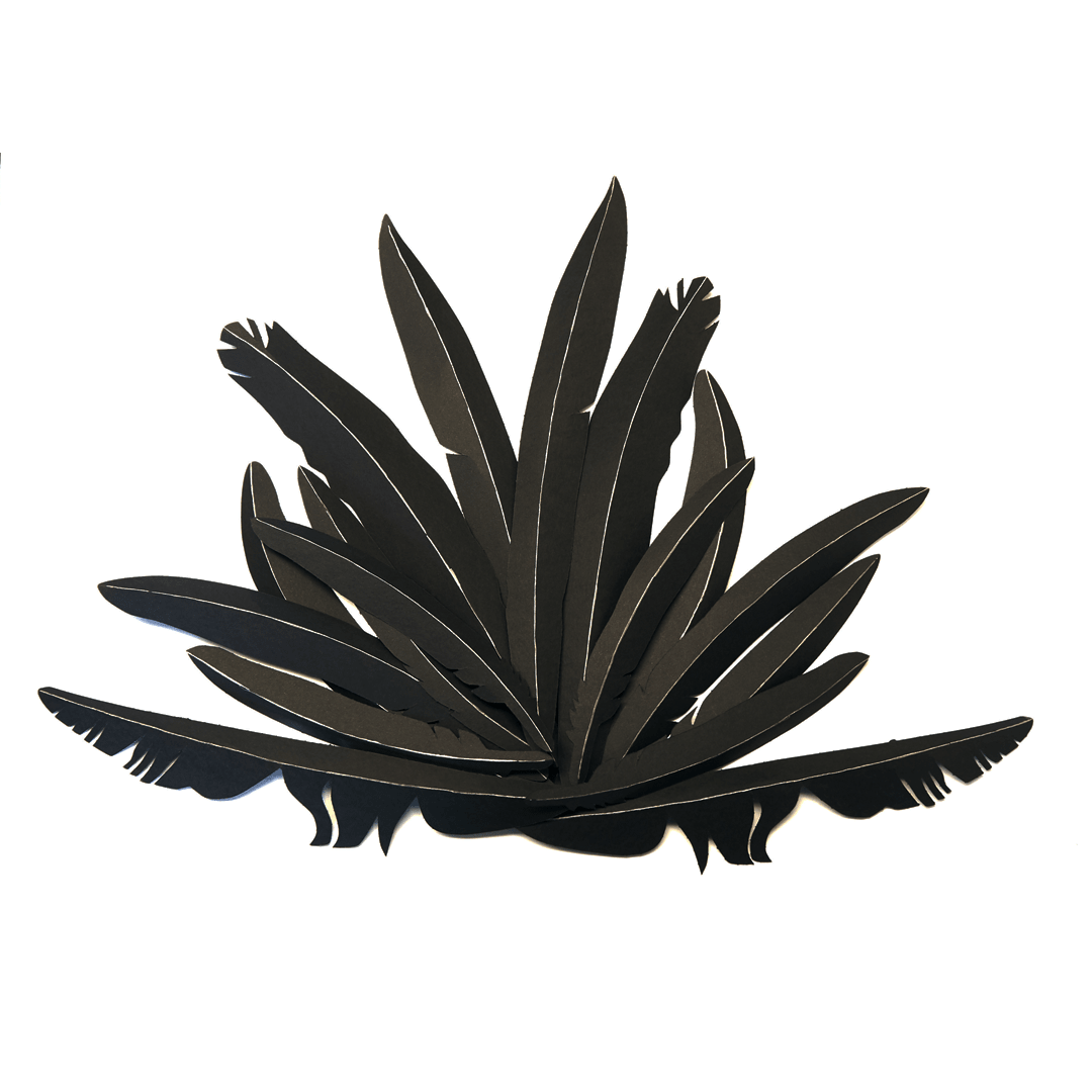 Animal Skull Headdress Set | Bonefaced Mystics DIY Papercraft Templates | PDF - Wintercroft-Mask
